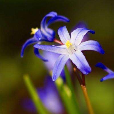 凯发游戏手机app下载