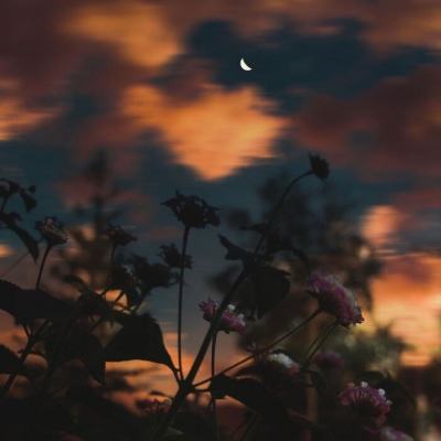 IM电竞平台下载