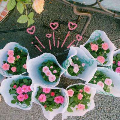 足球游戏手机app下载